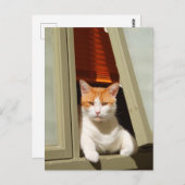 生姜と白い猫が窓に座って ポストカード (正面/裏面)