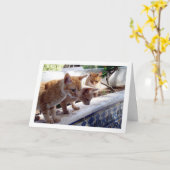 生姜の猫3匹 カード (黄色い花)