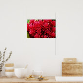 生姜の花、プエルトリコの花 ポスター (キッチン)