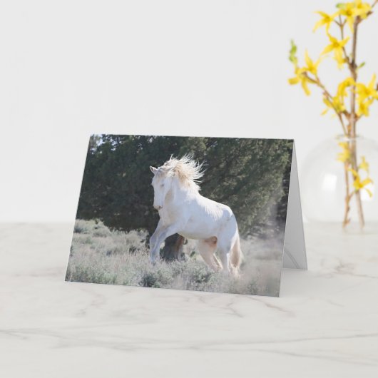 生存者挨拶状 カード (黄色い花)