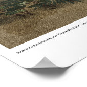 生存者：パントランブダと白亜紀後恐竜 ポスター (角)