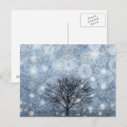 生存自然 ポストカード (正面/裏面)