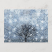 生存自然 ポストカード (正面)