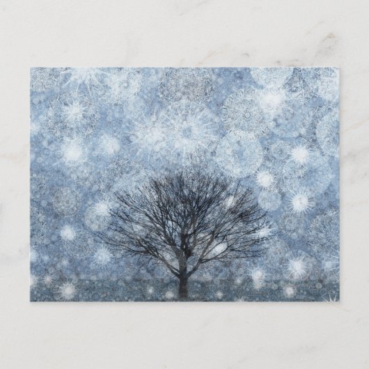 生存自然 ポストカード (正面)