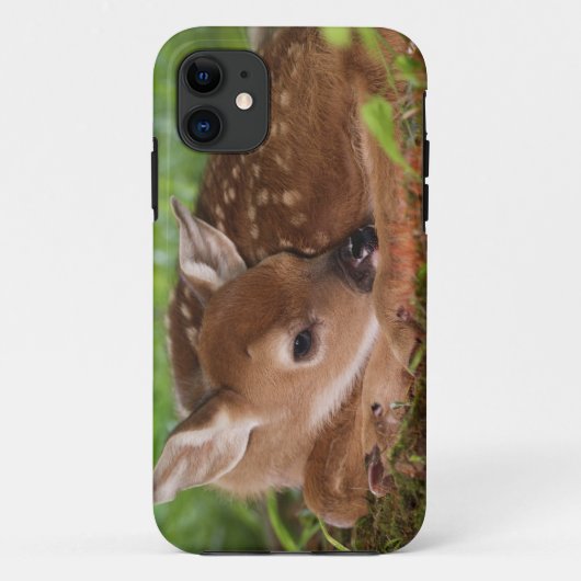 生後2日のオジロジカの赤ちゃん、ケンタッキー州 Case-Mate iPhoneケース (裏面)