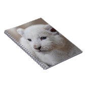 生後6週間の白いベビーのライオンの子 ノートブック (右側)