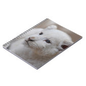 生後6週間の白いベビーのライオンの子 ノートブック (左側)