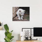 生後6週間の白いベビーのライオンの子 ポスター (ホームオフィス)