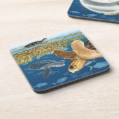 生息地のコースターのウミガメ コースター (左側)