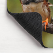 生意気おもしろいな生意気なシマウマのフィンチズソングバード マウスパッド (コーナー)