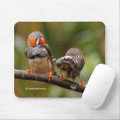 生意気おもしろいな生意気なシマウマのフィンチズソングバード マウスパッド (マウス)