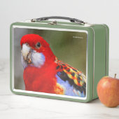 生意気で東カラフル方のオウム メタルランチボックス (インサイチュ)