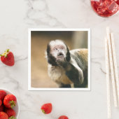 生意気で生意気なベビーカプチンモンキー スタンダードカクテルナプキン (インサイチュ)