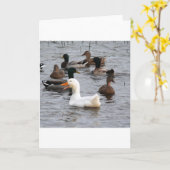 生意気なアヒル カード (黄色い花)