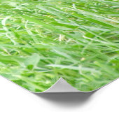 生意気なゴリラロープ ポスター (角)