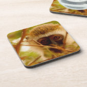 生意気なサル。 コースター (左側)