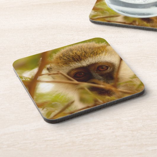 生意気なサル。 コースター (左側)