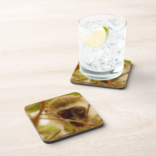 生意気なサル。 コースター (右側)