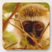 生意気なサル。 コースター (正面)