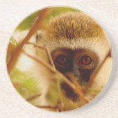生意気なサル。 コースター (正面)