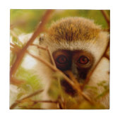 生意気なサル。 タイル (正面)