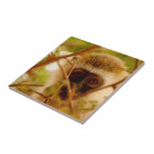 生意気なサル。 タイル (側面)