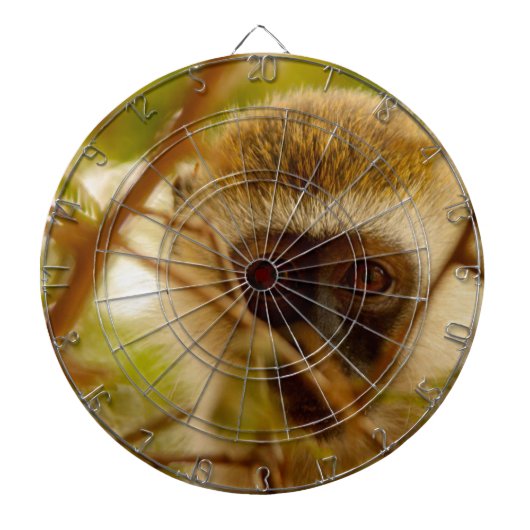 生意気なサル。 ダーツボード (正面)