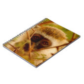 生意気なサル。 ノートブック (左側)