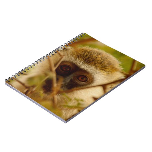 生意気なサル。 ノートブック (左側)
