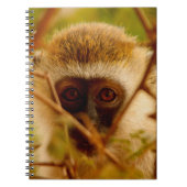 生意気なサル。 ノートブック (正面)