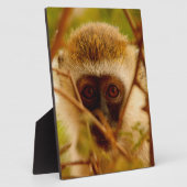 生意気なサル。 フォトプラーク (側面)