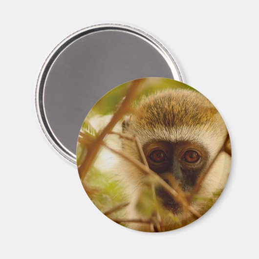 生意気なサル。 マグネット (正面/裏面)