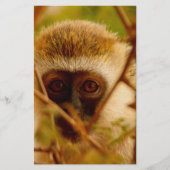 生意気なサル。 便箋 (正面)