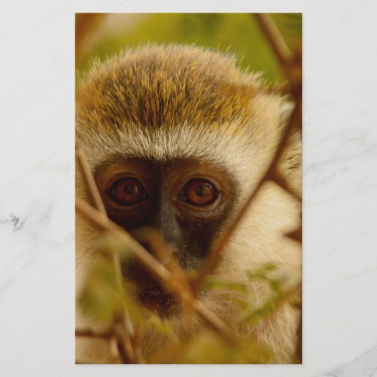 生意気なサル。 便箋 (正面)