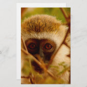 生意気なサル。 便箋 (正面/裏面)