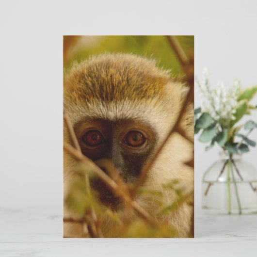 生意気なサル。 便箋 (スタンド正面)