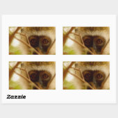 生意気なサル。 長方形シール (シート)