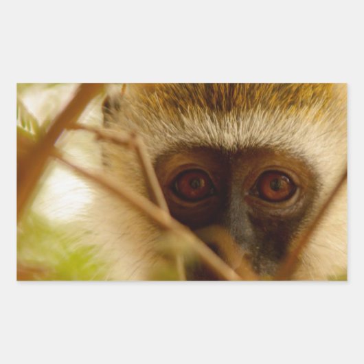 生意気なサル。 長方形シール (正面)