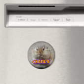 生意気なチップムンク磁石 マグネット (インサイチュ (食洗機))