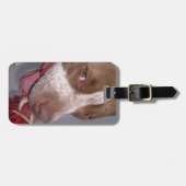 生意気なピットブルの荷物のラベル ラゲッジタグ (正面横)