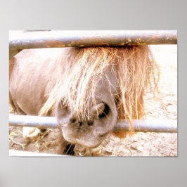 生意気なポニー ポスター