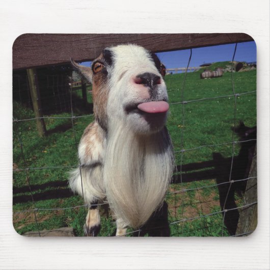 生意気なヤギのマウスのマット マウスパッド (正面)