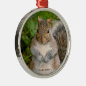 生意気な可愛いリスピーナッツを割いてもらえる？ メタルオーナメント (右)