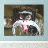 生意気な天帝タマリンモンキー キャンバスプリント (インサイチュ (ウッドフロア))