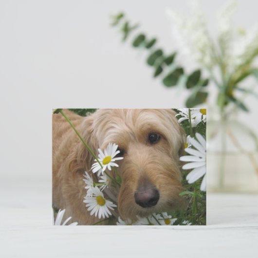 生意気な女 ポストカード (スタンド正面)