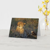 生意気な挨拶 カード (黄色い花)