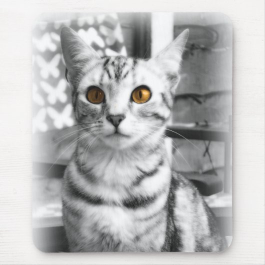 生意気な猫 マウスパッド (正面)
