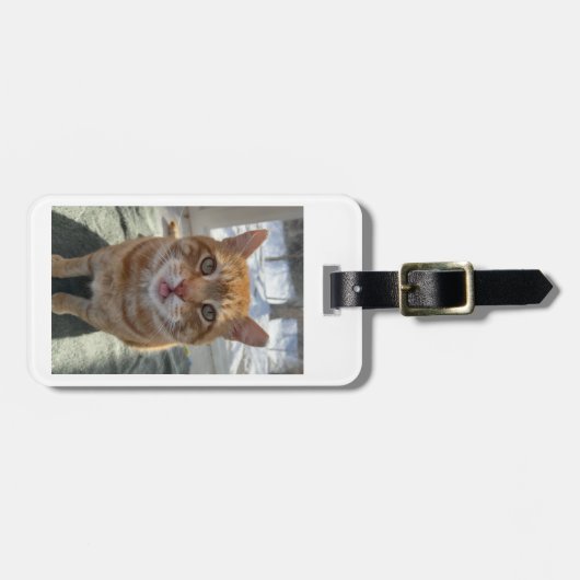 生意気な猫 ラゲッジタグ (正面横)