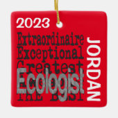 生態学者カスタム異常 セラミックオーナメント (正面)
