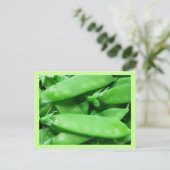 生春豆 ポストカード (スタンド正面)